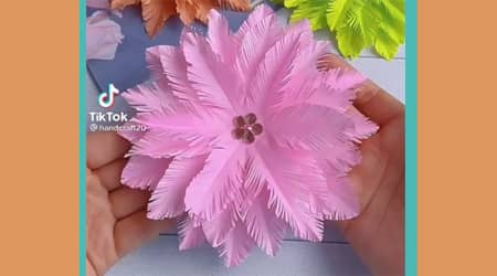 Wunderbare Blumen