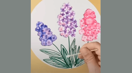 Aparece la forma de dibujar, el remojo, las flores