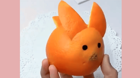 Rabbit making from orange