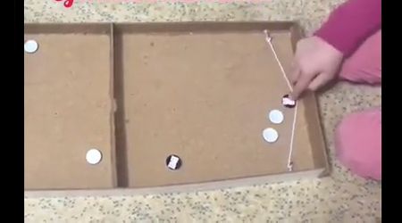 Disfrute Del Lago De La Caja De Cartón