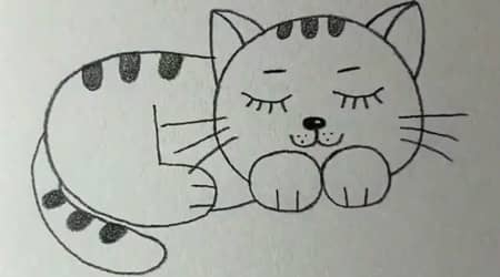 Dibujar Un Gato