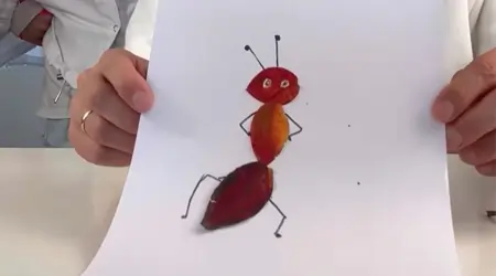Ant and Cockroach Making Activity with Leaves for Children