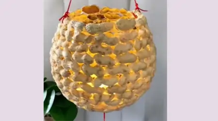 Hacer una linterna en forma de colmena con globos y cáscaras de maní