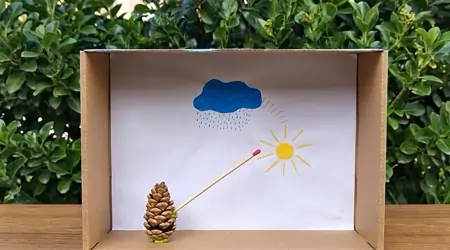 Çam Kozalağı ile Hava Durumu Tahmini