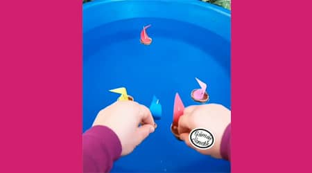 Vamos A Veleros De Cascaras De Nuez