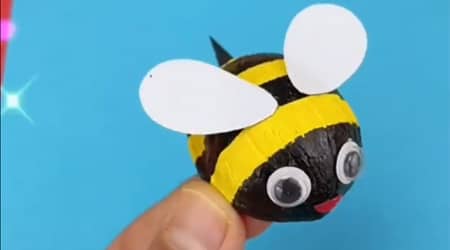 Vamos a Romper a partir De Cáscaras de Nuez