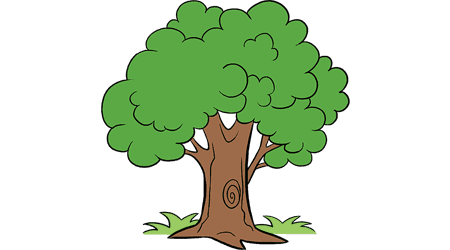 Sakız Ağacı